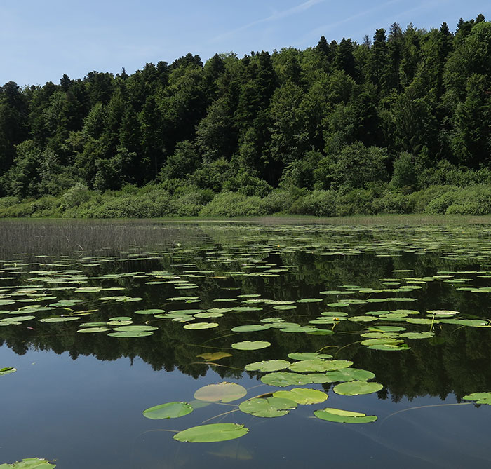 Cerkniško-jezero