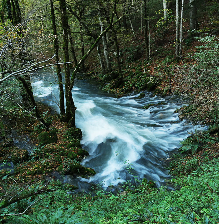 In-the-middle-of-the-forest,-water-is-bursting-from-the-underground