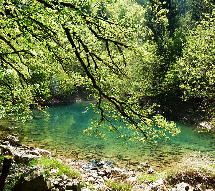 The-spring-of-Lake-cerknica